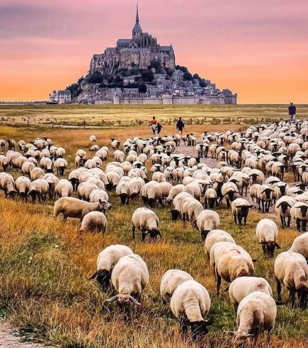 Апартаменты Le Refuge Marin Курсёль-сюр-Мер Экстерьер фото
